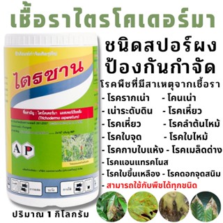 หัวเชื้อไตรโคเดอร์มา ผงพร้อมใช้ ฤทธิ์สูง กำจัดโรคพืช ราก-โคนเน่า ใบจุด-ไหม้ กุ้งแห้ง เน่าคอดิน ไตรซานTrichoderma ม.เกษตร