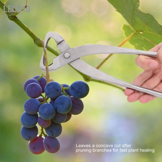 Leo310 เครื่องมือสร้างแบบจำลอง Trunk Splitter Silver Bonsai Chrome Alloy 20cm Branch เครื่องตัดสาขาบอนไซ