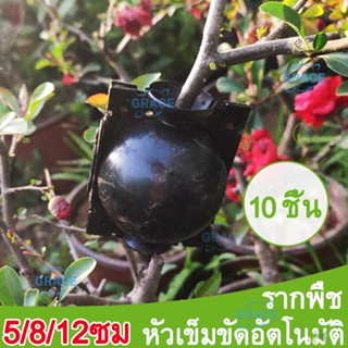 10 ชิ้น -5/8/12ซม.การต่อกิ่งพืช กล่องปลูกพืชแรงดันสูง Propagation Ball Layering Pod เครื่องมือต้นอ่อนอุปกรณ์ทำสวน