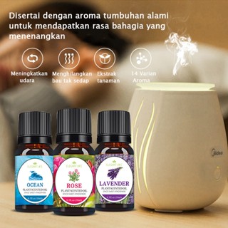 น้ำหอมปรับอากาศ Essential Oil Diffuser | น้ำหอมปรับอากาศ 10ml