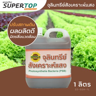 ปุ๋ยน้ำ-ชีวภาพ จุลินทรีย์สังเคราะห์แสง PSB (ตราทานตะวัน) | แกลลอล 1 ลิตร