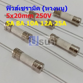 ฟิวส์ มีขา 2 ขา บัดกรี หางหนู เซรามิค Ceramic Fuse 5x20mm 250V 5A 8A 10A 12A 25A #PC5x20-Slow blow (1 ตัว)