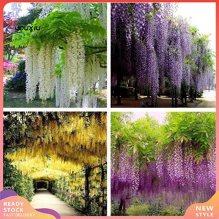 Youxiu Wisteria ดอกไม้ประดิษฐ์ สําหรับตกแต่งบ้าน งานแต่งงาน