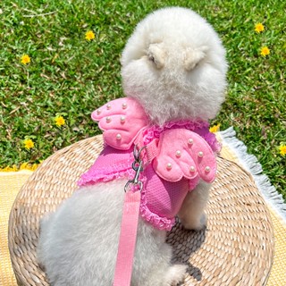 【Fluffy Pet】 พร้อมส่ง ปลอกคอตาข่าย ระบายอากาศ ประดับปีกนางฟ้า อุปกรณ์เสริม สําหรับสัตว์เลี้ยง สุนัข แมว ขนาดเล็ก