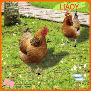 Liaoy รูปปั้นไก่อะคริลิค สําหรับตกแต่งสวน