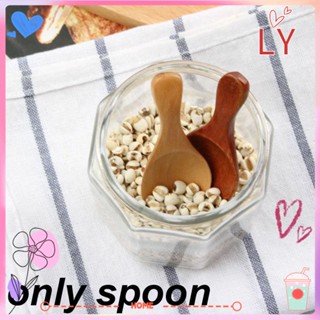 Cooking Tools Kitchen Gadgets Natural Flatware Condiment Scoop Sugar Spoon