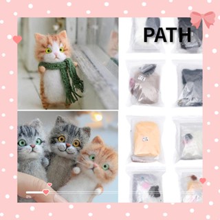 Path ชุดเข็ม Felting Kit วัสดุงานฝีมือ ยังไม่สําเร็จรูป