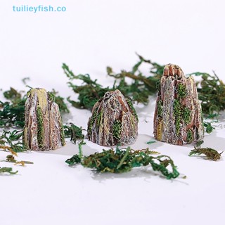 Tuilieyfish ตุ๊กตาเรซิ่นธรรมชาติ ขนาดเล็ก สําหรับตกแต่งบ้าน และสวน