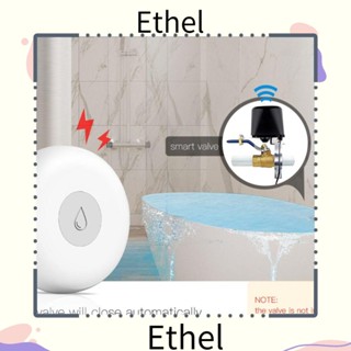 Ethel1 เซนเซอร์วัดระดับน้ํา WiFi Tuya Smart APP Smart Home Life APP แจ้งเตือนน้ําล้น