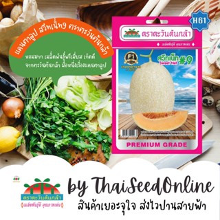 ADVF1 ซฟ เมล็ดพันธุ์แคนตาลูป สวีทเน็ท9 ตราตะวันต้นกล้า H61