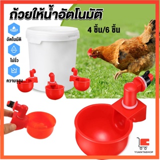 ถ้วยให้น้ำอัตโนมัติ สำหรับไก่ 4 ชิ้น 6 ชิ้น Automatic drinker