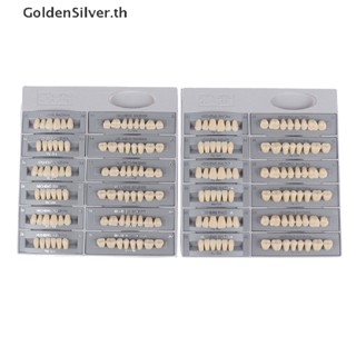 Goldensilver โมเดลฟันปลอมเรซิ่น ขนาด A2 84 ชิ้น ต่อกล่อง