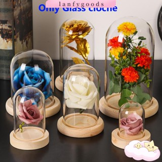 lanf jar terrarium ขวดแก้วใสแจกัน cloche