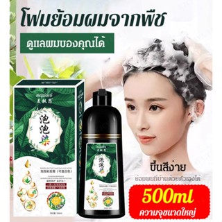 FYS_โฟมย้อมผมสารสกัดจากพืช 500ml