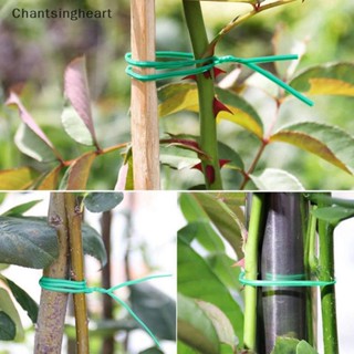 &lt;Chantsingheart&gt; ม้วนลวดสีเขียว 20 เมตร สําหรับตกแต่งสวน