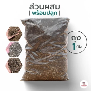 [ 1 กก. ] ดินผสมพร้อมปลูกไม้อวบน้ำ กุหลาบหิน กระบองเพชร Cactus&Succulent