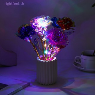 Rightfeel.th ใหม่ ดอกกุหลาบประดิษฐ์ ชุบฟอยล์ 24K สําหรับตกแต่งงานแต่งงาน