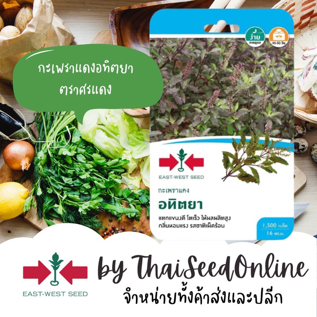 Sorndang(ศรแดง) GGEW เมล็ดพันธุ์ซฟ เมล็ดพันธุ์ กะเพราแดงอทิตยา 1500เมล็ด ตราศรแดง