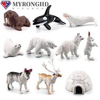 Myronghd 10 ชิ้น / เซต โมเดลสัตว์อาร์กติก ภูมิทัศน์ขนาดเล็ก ของเล่นวิทยาศาสตร์ เพื่อการศึกษา ซีลขนาดเล็ก Walruses