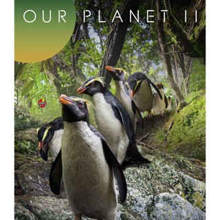 Bluray บลูเรย์ Our Planet (2023) Season 2 (ภาพ HDR) (เสียง Eng | ซับ Eng/ไทย) Bluray บลูเรย์