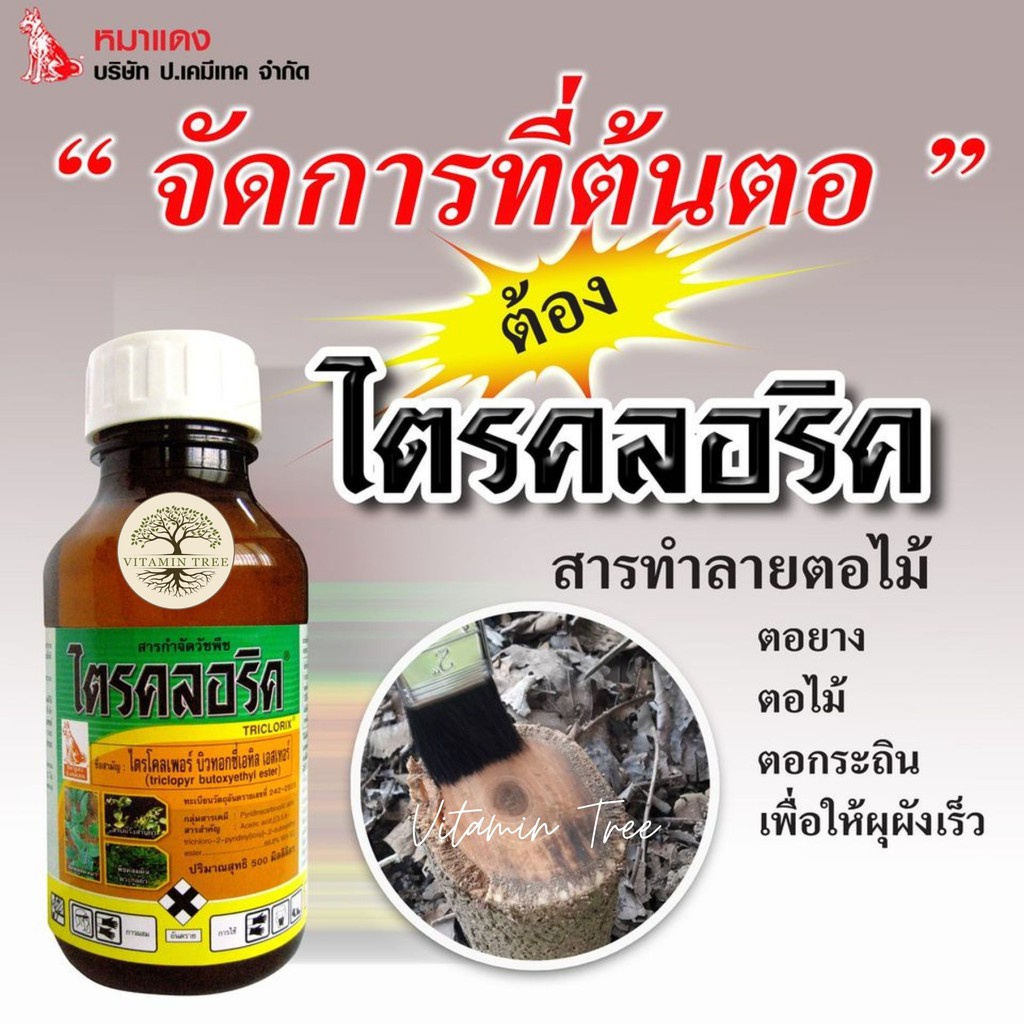 ยาทาตอ กำจัดไม้ใหญ่ ยืนต้นตาย เหลือแต่ตอ ไตรคลอริค 500 ซีซี ผสมน้ำมันดีเซลได้ 5 ลิตร
