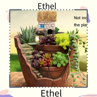 Ethel1 ตะกร้าพืชอวบน้ํา สมุนไพร บอนไซ สวน