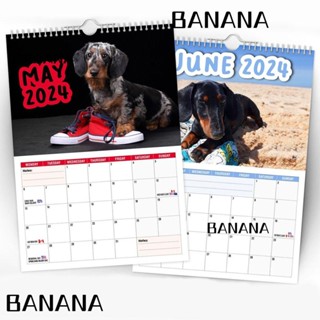 Banana1 2024 ปฏิทินแขวนผนัง กระดาษ รูปหมาดัชชุน สร้างสรรค์ สําหรับตกแต่งบ้าน