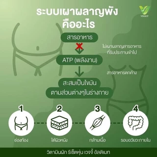 โปรฮิต [1 FREE 1] Veggy Ultimate วิตามินผัก วิตามิน หุ่นดี หุ่นปัง