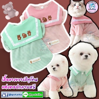 🇹🇭พร้อมส่ง🇹🇭🐻🐻🐻 เสื้อลายขวางแต่งคอปกลายหมี งานแบรนด์ for pet เสื้อสุนัข เสื้อหมา เสื้อแมว