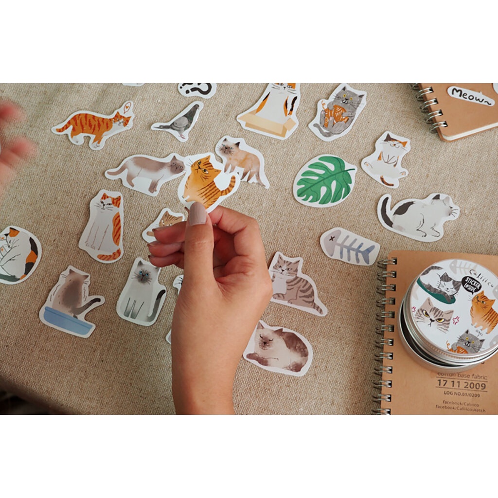 สติกเกอร์ลายแมว Sticker box cat