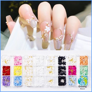 Comfy DIY 3D ลูกปัดโลหะ รูปกลีบดอกไม้ 6 ช่อง คละสี สําหรับตกแต่งเล็บ Nail Kits