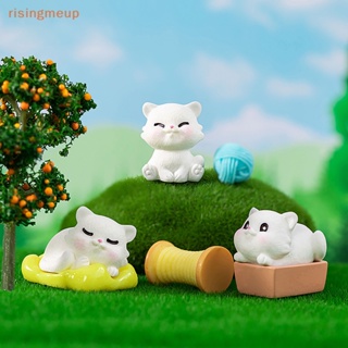 [risingmeup] ฟิกเกอร์เรซิ่น รูปแมวจิ๋ว แฟชั่น สําหรับตกแต่งบ้าน และรถยนต์