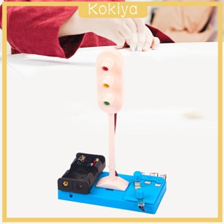 [Kokiya] ชุดของเล่นไฟจราจรอิเล็กทรอนิกส์ LED สัญญาณถนน DIY ของเล่นสัญญาณจราจร ทดลองวิทยาศาสตร์ สําหรับนักเรียน