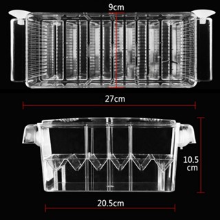 กล่องเพาะพันธุ์ปลาหางนกยูง สําหรับตู้ปลา ☆Westyletin