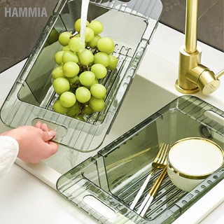  HAMMIA อ่างล้างจานเครื่องกรองผักผลไม้ที่ทันสมัย ​​Minimalist PET ห้องครัว Telescopic Drain Rack ตัวกรองอ่างล้างจานพลาสติก