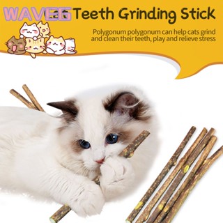 คลื่น 【Delievery อย่างรวดเร็ว】 Cat Molar Stick Mu Tianli ทำความสะอาดฟันเพื่อแกล้ง Cat Stick เพื่อบรรเทาความเบื่อจากอุปกรณ์แมวที่รักษาตัวเอง ขนมแมวของเล่น