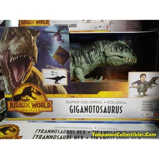 [2022.05] Mattel Jurassic World Toys Super Colossal Giganotosaurus Dinosaur (39inch/ 99cm+)