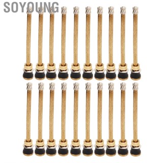 Soyoung Straight Truck Valve Stems Clamp in Tubeless Stem Lightweight Sturdy TR574 for 0.625in Bore