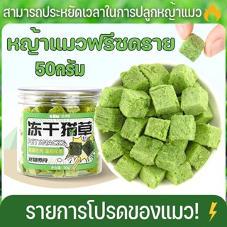 หญ้าแมวฟรีซดราย ขนมสัตว์เลี้ยง หญ้าแมวอบแห้ง ต้นอ่อนข้าวสาลี ขนมแมวฟรีซดราย ช่วยสำรอกก้อนขน 50g