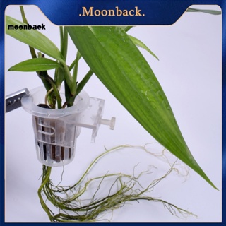 &lt;moonback&gt; ถ้วยปลูกพืชน้ํา ไฮโดรโปนิก แบบกลวง อุปกรณ์เสริม สําหรับตู้ปลา 2 ชิ้น