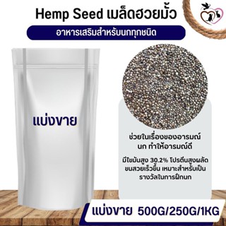 ฮวยมั๊ว HempSeed อาหารนก กระต่าย หนู กระต่าย กระรอก ชูก้า และสัตว์ฟันแทะ (แบ่งขาย 250G / 500G / 1KG)