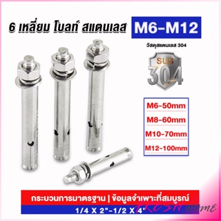 พุกสแตนเลส ขนาด 304 M6 M8 M10 M12 6 หัวเหลี่ยม  สแตนเลส Expansion Bolt