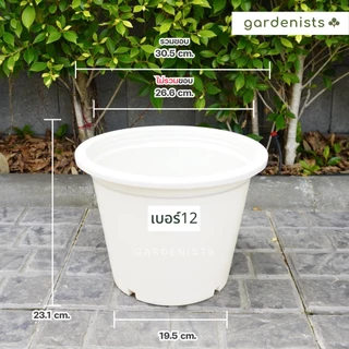 กระถางต้นไม้ ทรงกลมสีขาว เบอร์12-17 ขายปลีก กระถางพลาสติก