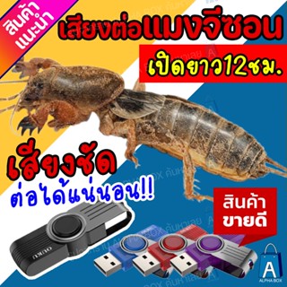 เสียงต่อแมงจีซอน แฟลชไดร์ฟเสียงต่อแมงจีซอน ต่อได้ผลแน่นอน เป…