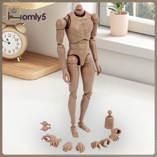 [Homyl5] ตุ๊กตาฟิกเกอร์ผู้ชาย สเกล 1/6 ความสูง 25.5 ซม. สําหรับตกแต่ง