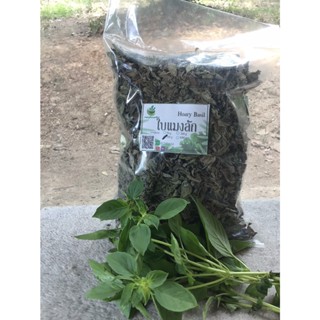 ใบแมงลัก อบแห้ง ขนาด 50-100กรัม Dried Hairy Basil Leaves ฟู๊ดเกรด ใช้เป็นชาหรือประกอบอาหาร KASALONG