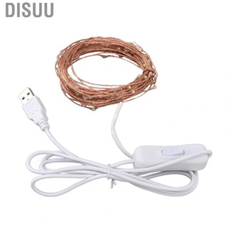 Disuu 10M 100 LEDs  Light String USB Operated Copper Wire Lights DIY