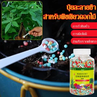 พืชสีเขียวและดอกไม้ปุ๋ยสากลที่ปล่อยออกมาช้าปุ๋ยผลไม้และผักในครัวเรือน