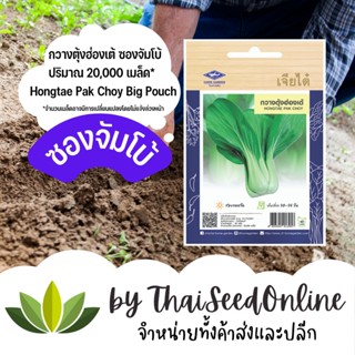เมล็ดพันธุ์ กวางตุ้งฮ่องเต้ 11900 เมล็ด ซองจัมโบ้ เพิ่มปริมาณมากกว่า 3 เท่า！ตราเจียไต๋ Hong Tae Pak Choy