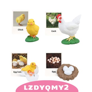 [Lzdyqmy2] โมเดลฟิกเกอร์วงจรชีวิต วิทยาศาสตร์ชีววิทยา ของเล่น สําหรับเด็กวัยหัดเดิน